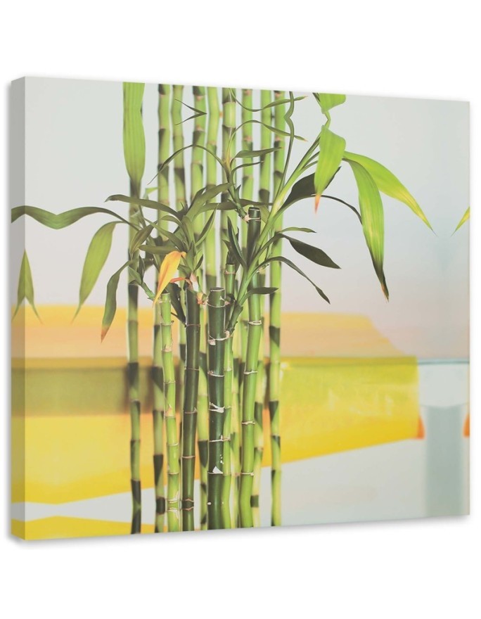 Dekoratives Leinwandbild - Etwas grüner Bambus | Feeby
