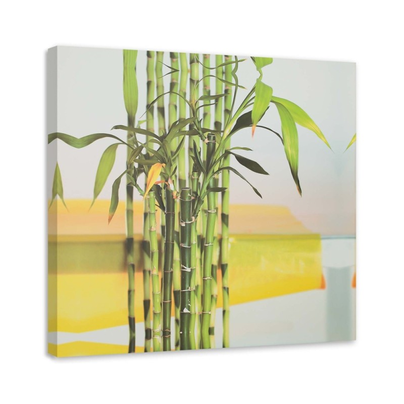 Dekoratives Leinwandbild - Etwas grüner Bambus | Feeby