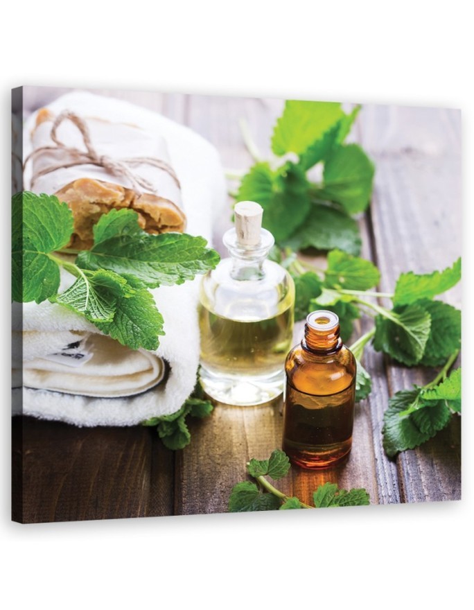 Bild auf Leinwand - Abstraktionen - grün | Feeby