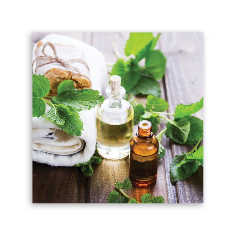 Bild auf Leinwand - Abstraktionen - grün | Feeby