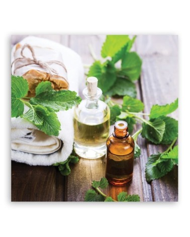 Bild auf Leinwand - Abstraktionen - grün | Feeby