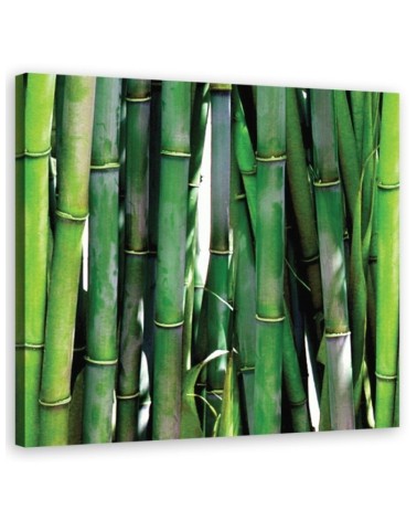 Green bamboo bathroom Canvas art prints | FEEBY