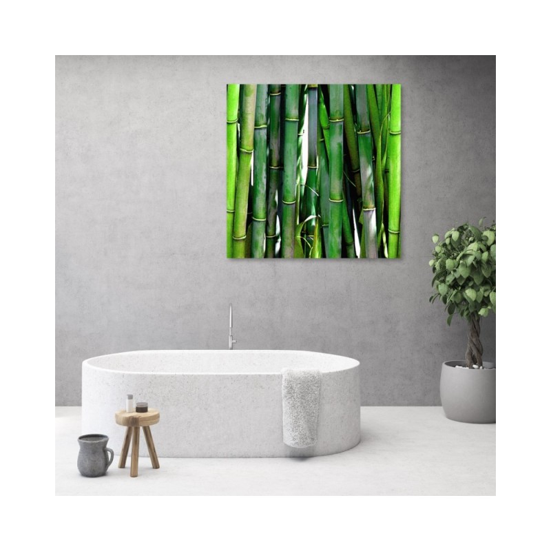 Bild auf Leinwand - Grüner Bambus | Feeby