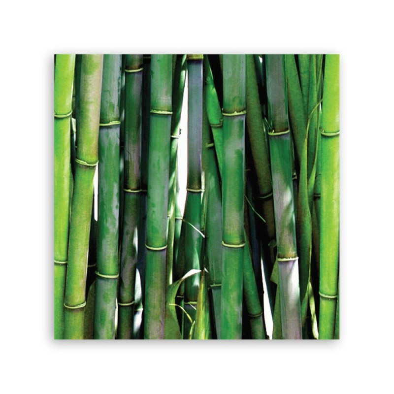 Bild auf Leinwand - Grüner Bambus | Feeby