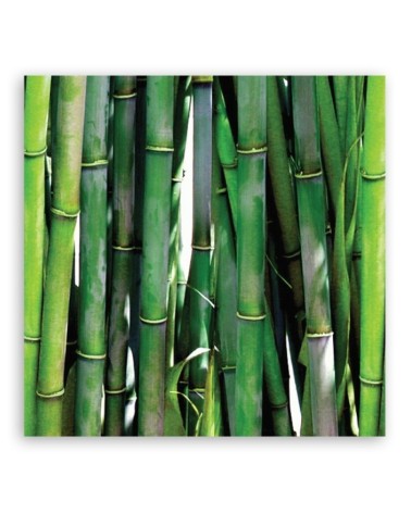 Bild auf Leinwand - Grüner Bambus | Feeby