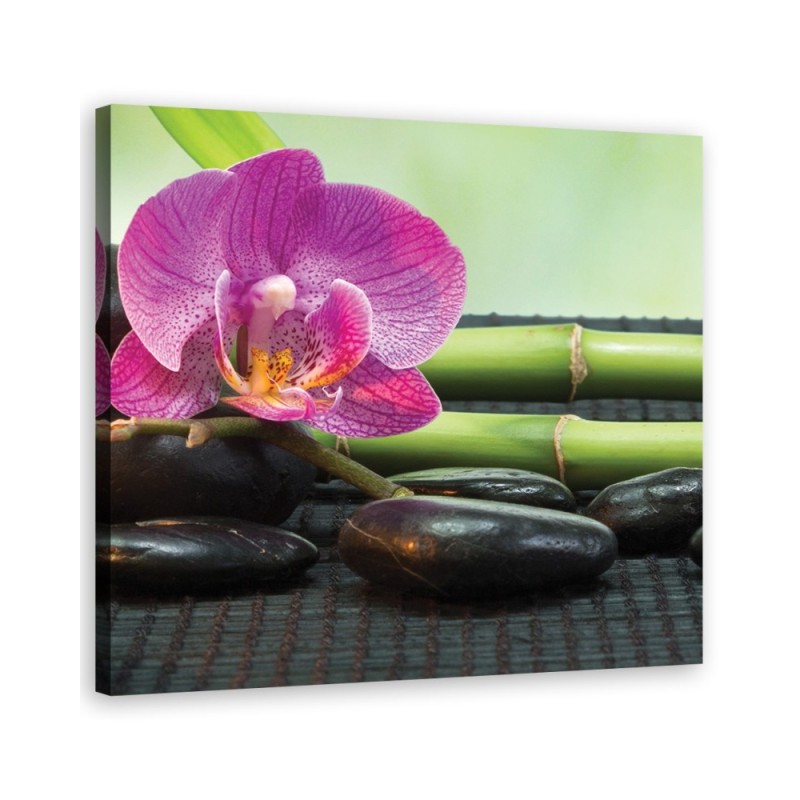 Leinwandbild - Orchidee auf schwarzen Steinen | Feeby