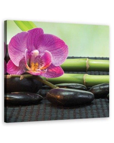 Leinwandbild - Orchidee auf schwarzen Steinen | Feeby