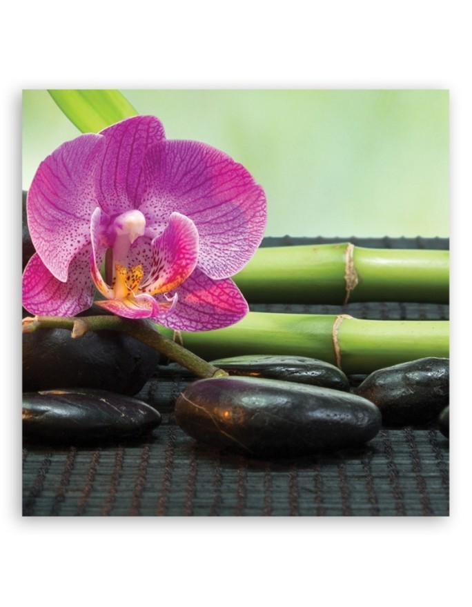 Dekoracja do łazienki Orchidea na czarnych kamieniach | FEEBY