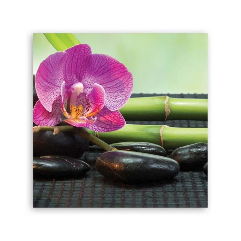 Leinwandbild - Orchidee auf schwarzen Steinen | Feeby