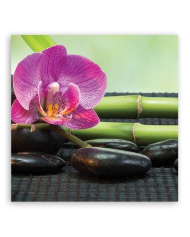 Leinwandbild - Orchidee auf schwarzen Steinen | Feeby