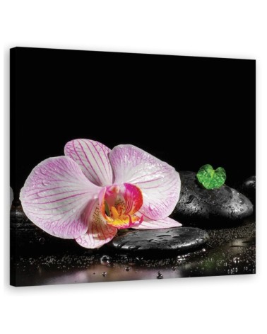 Flowering zen orchid - Bathroom wall art painting | FEEBY