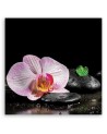 Kwitnąca orchidea zen - Obraz ścienny do łazienki | FEEBY