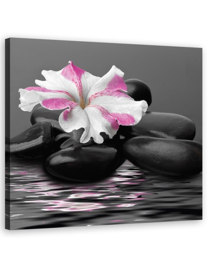 Leinwandbild - Steine rosa Blume Zen | Feeby