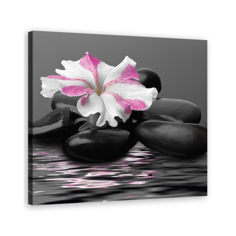 Leinwandbild - Steine rosa Blume Zen | Feeby