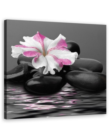 Leinwandbild - Steine rosa Blume Zen | Feeby