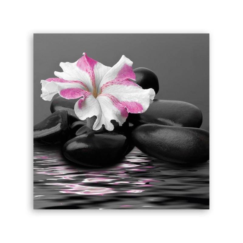 Leinwandbild - Steine rosa Blume Zen | Feeby
