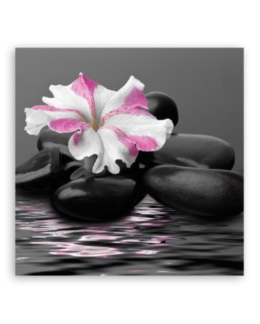 Leinwandbild - Steine rosa Blume Zen | Feeby