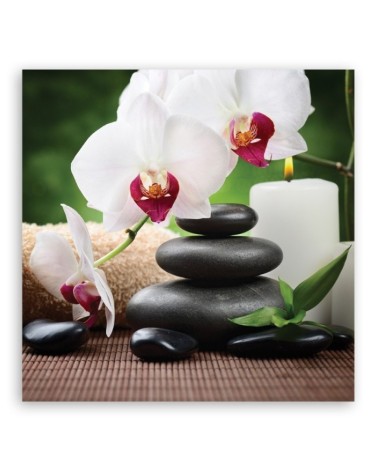 Leinwandbild modern - Orchidee Blumen Zen | Feeby