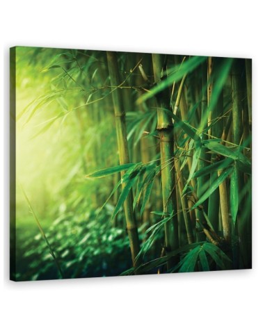 Bild auf Leinwand - Dschungel Bambus Pflanzen | Feeby