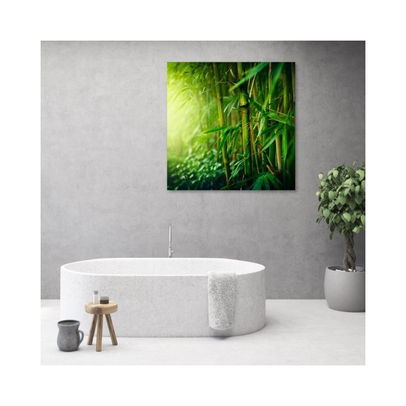 Bild auf Leinwand - Dschungel Bambus Pflanzen | Feeby