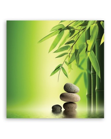 Leinwanddruck - Zen Bambus Steine Pflanzen | Feeby
