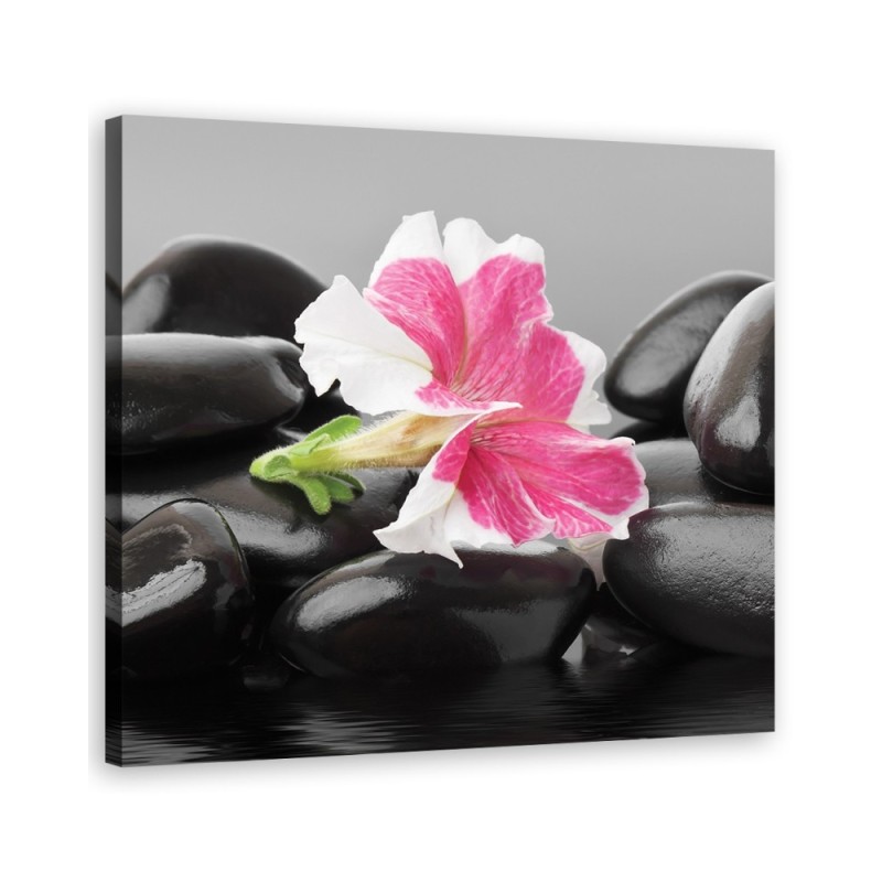 Leinwandbild - Rosa Blume auf Zen Stones | Feeby
