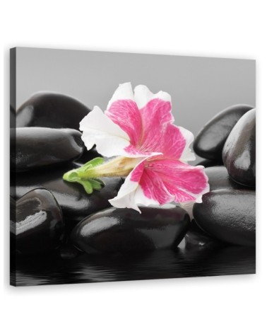 Leinwandbild - Rosa Blume auf Zen Stones | Feeby