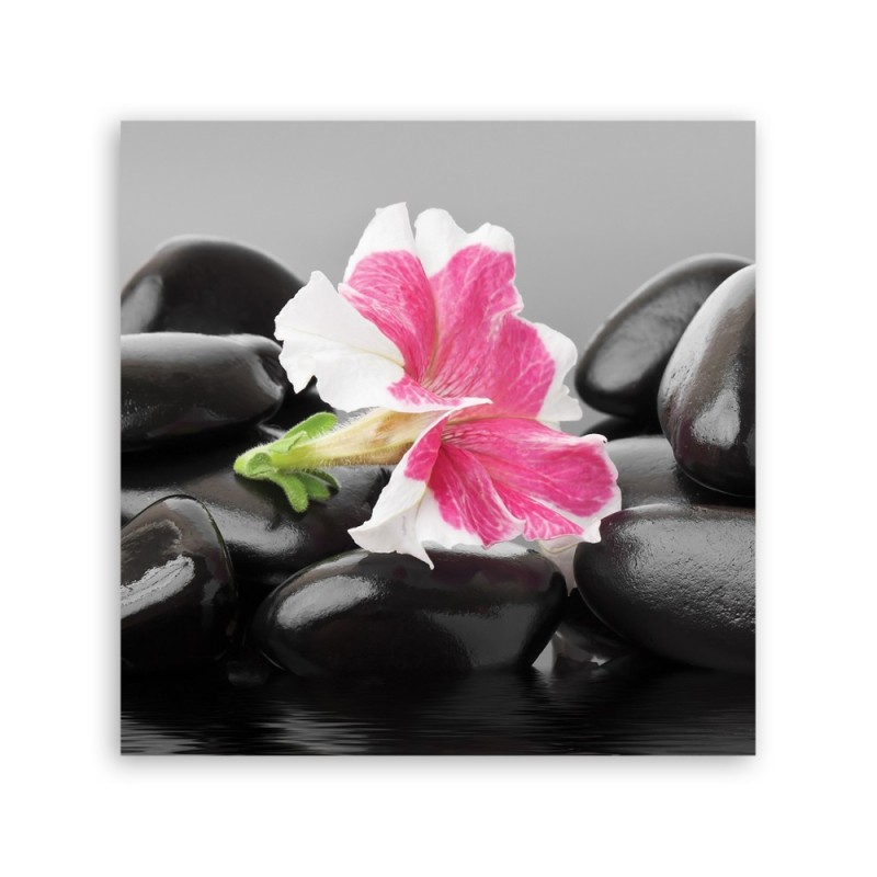 Leinwandbild - Rosa Blume auf Zen Stones | Feeby