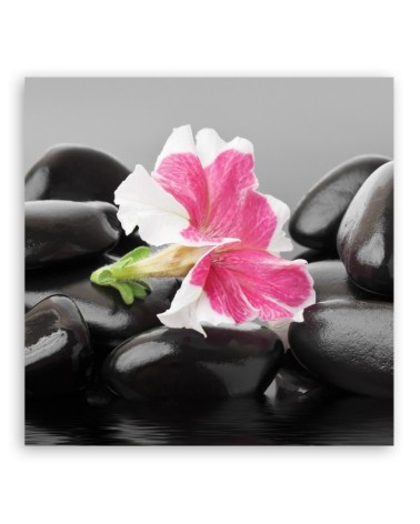 Leinwandbild - Rosa Blume auf Zen Stones | Feeby