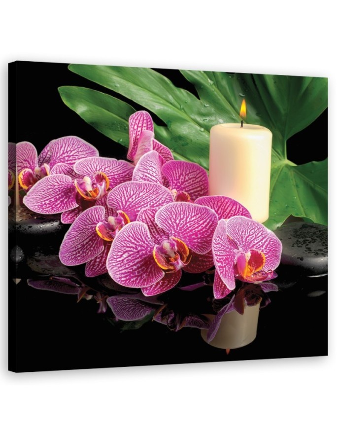 Canvas prints for living room - Pink Orchid Candles | FEEBY