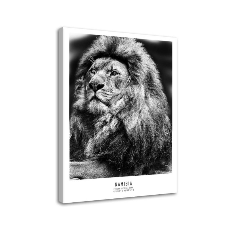 Wandbild für Wohnzimmer - Löwe Afrika Tier | Feeby