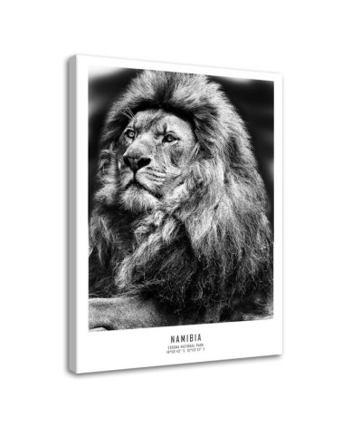 Wandbild für Wohnzimmer - Löwe Afrika Tier | Feeby