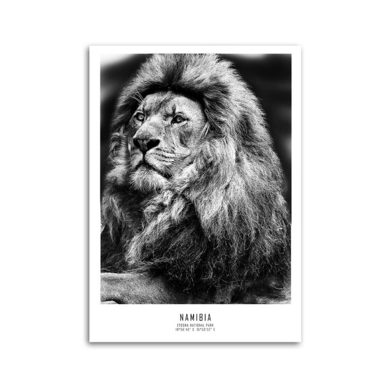 Wandbild für Wohnzimmer - Löwe Afrika Tier | Feeby