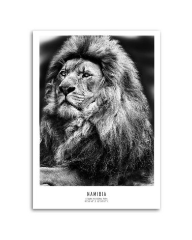 Wandbild für Wohnzimmer - Löwe Afrika Tier | Feeby