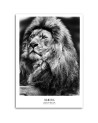 Lion symbol of Africa - Modern painting on canvas | FEEBY