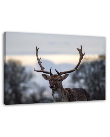 Deer landscape nature - Wall art decoration for living room | FEEBY