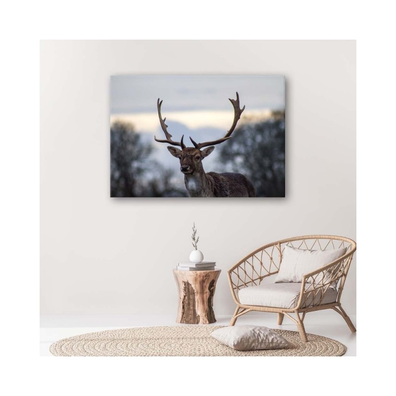 Leinwandbild - Hirsche | Feeby