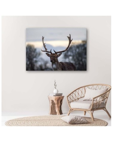 Leinwandbild - Hirsche | Feeby