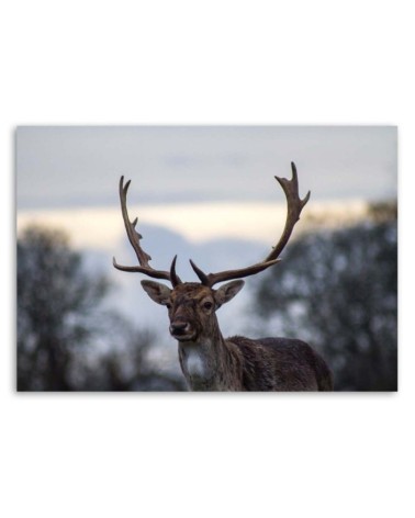 Leinwandbild - Hirsche | Feeby