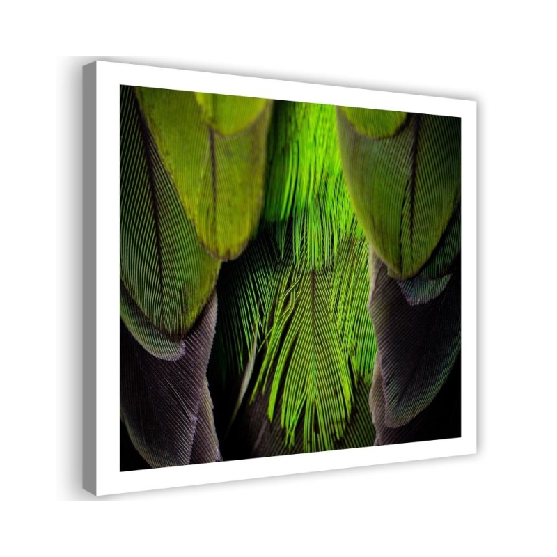Leinwandbild - Federn Natur | Feeby