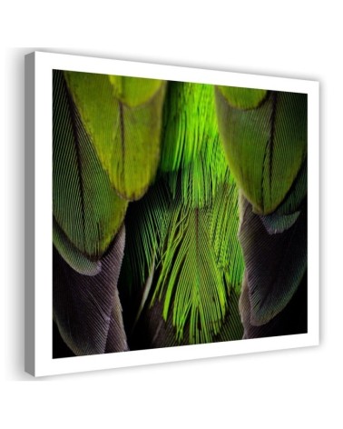 Green feathers - Bedroom, bathroom painting on canvas | FEEBY