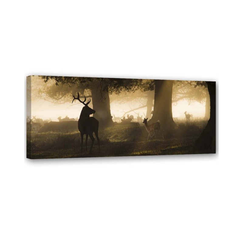Bild auf Leinwand - Hirsche im Nebel | Feeby