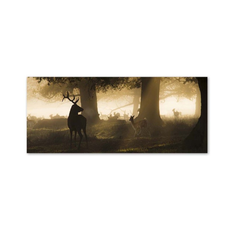 Bild auf Leinwand - Hirsche im Nebel | Feeby