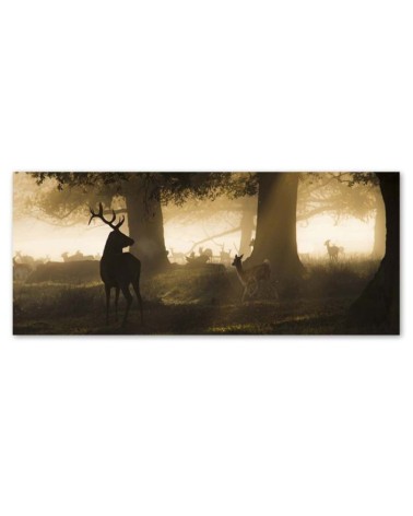 Bild auf Leinwand - Hirsche im Nebel | Feeby