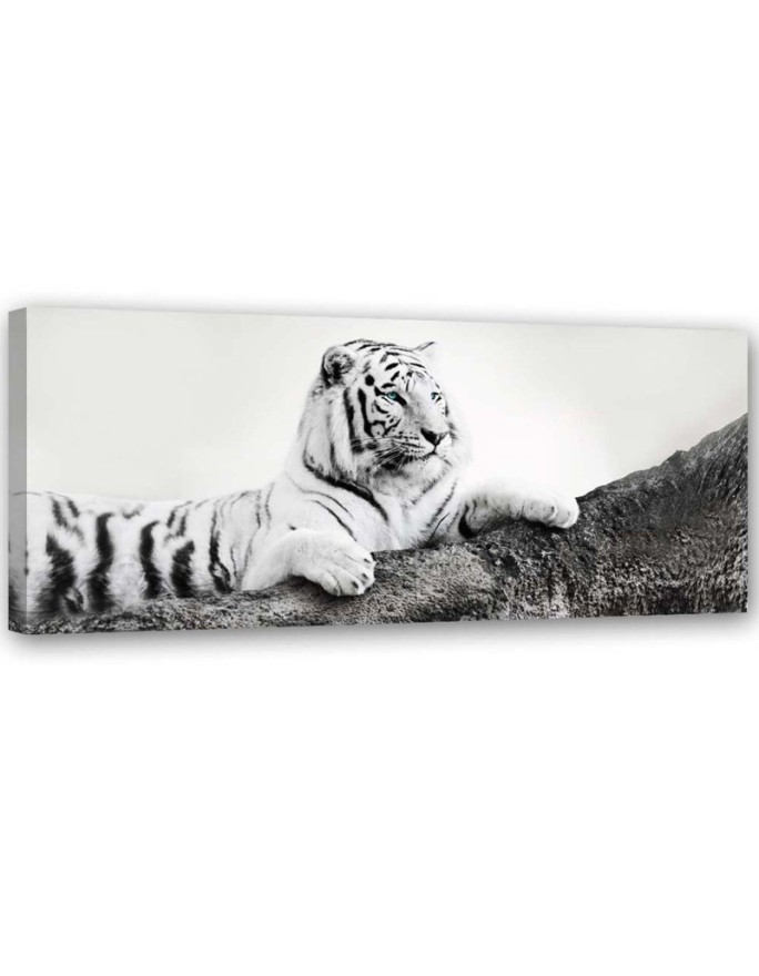 Leinwandbild - Tiger Wildtiere Natur | Feeby