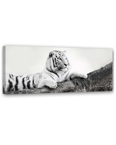 Leinwandbild - Tiger Wildtiere Natur | Feeby