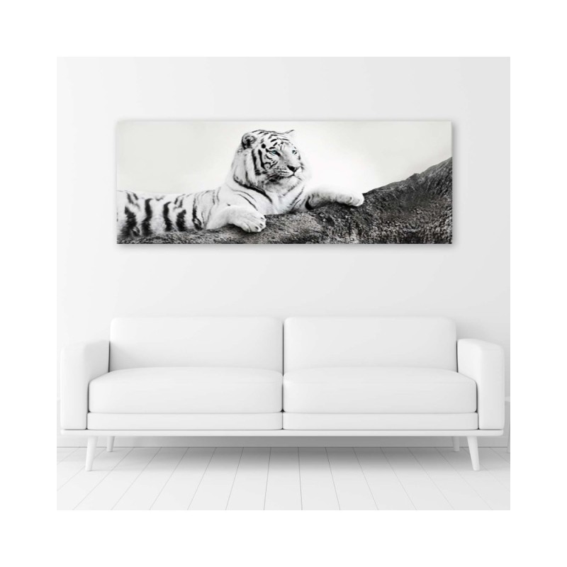 Leinwandbild - Tiger Wildtiere Natur | Feeby