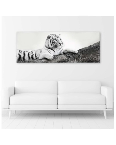Leinwandbild - Tiger Wildtiere Natur | Feeby