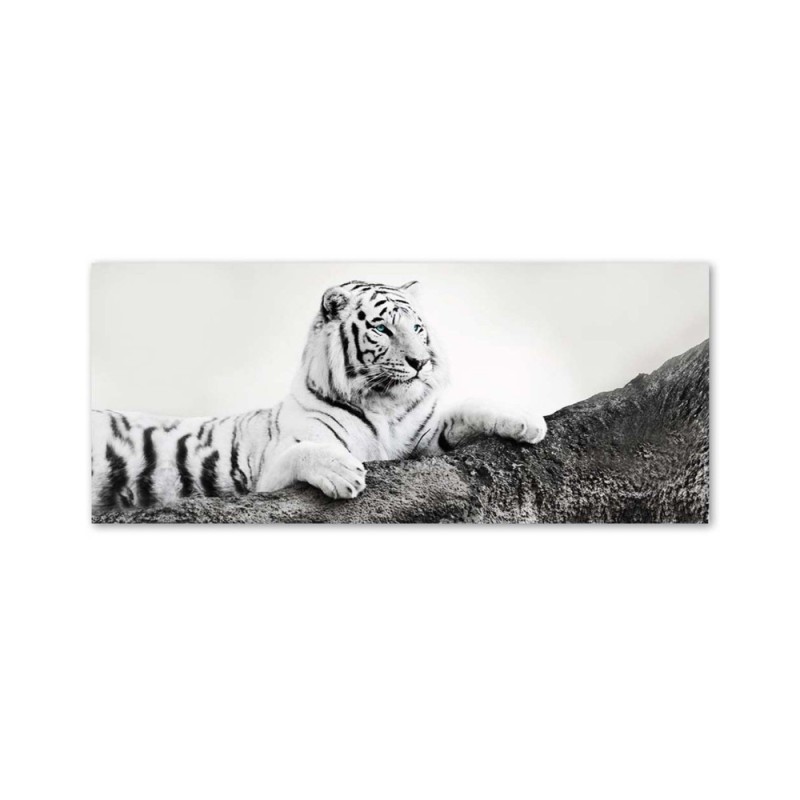 Leinwandbild - Tiger Wildtiere Natur | Feeby
