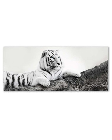 Leinwandbild - Tiger Wildtiere Natur | Feeby